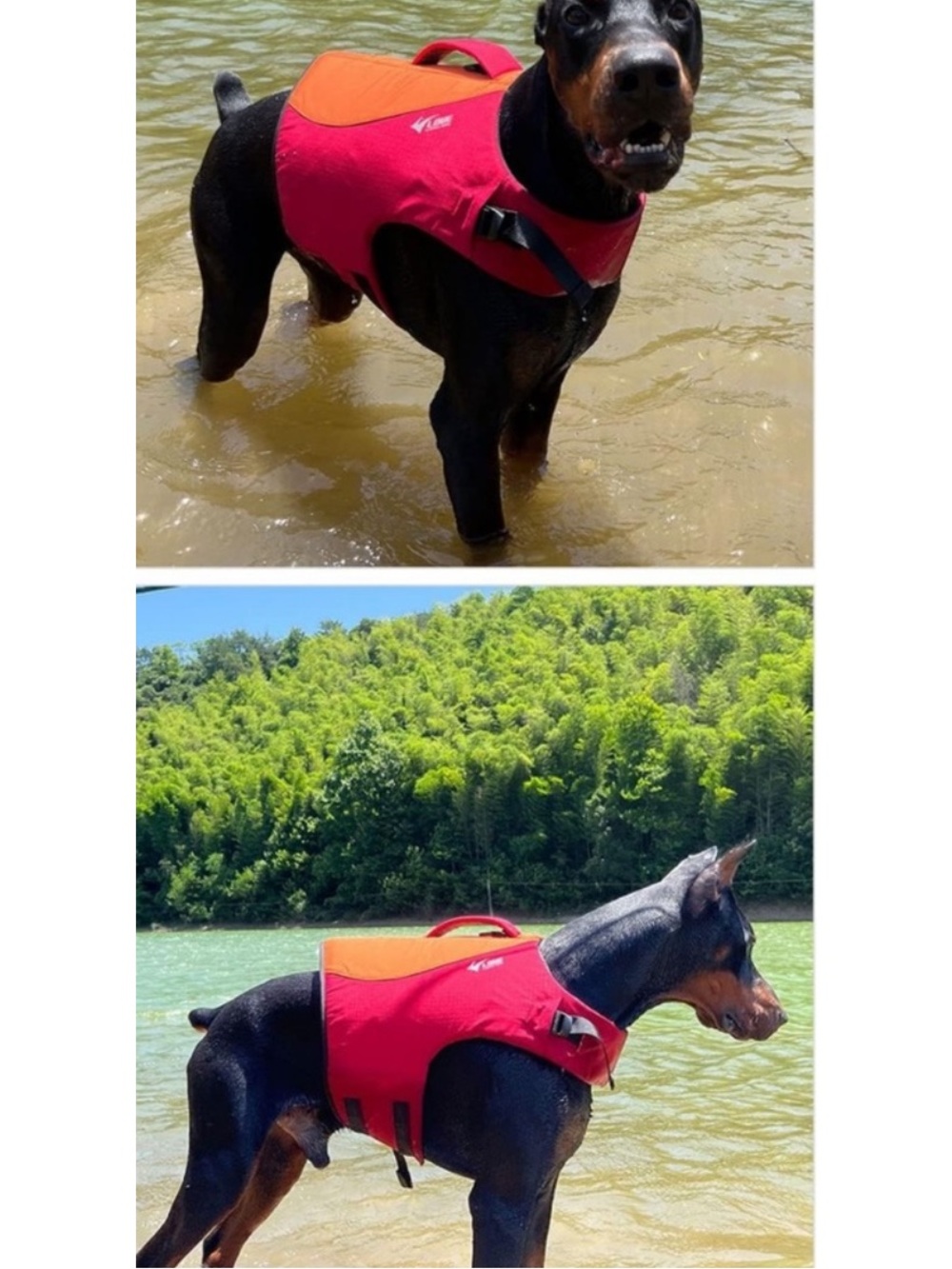 SALE!! Dog life vest for boating. 3